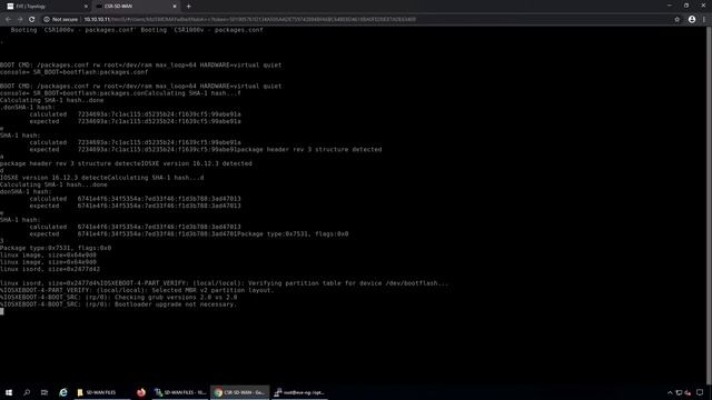 Cisco SD-WAN - How to add CSR1000v in EVE-NG Community version смотреть онлайн