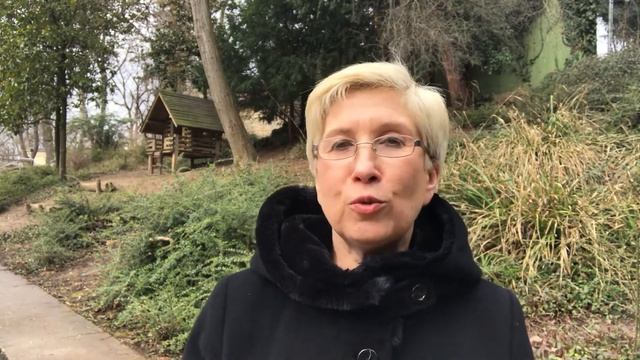 Право выбора. Совы и жаворонки. Светлана Савич. смотреть онлайн