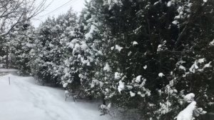 Я здорова ! У меня все здорово ! Медитация новой программы .