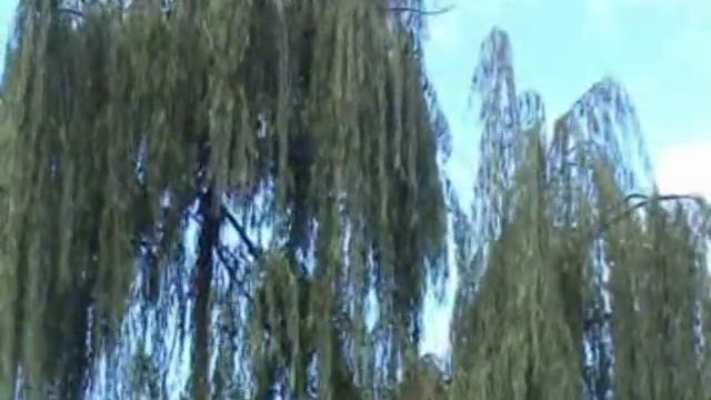 Суруди Сари Хосор смотреть онлайн