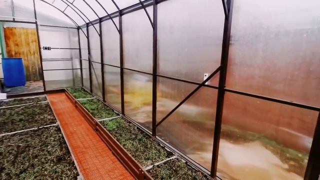 ОБЗОР ТЕПЛИЦЫ "ПАВИЛЬОН" ОТ УРАЛЬСКОЙ УСАДЬБЫ. 2023 ГОД. СУРГУТ смотреть онлайн