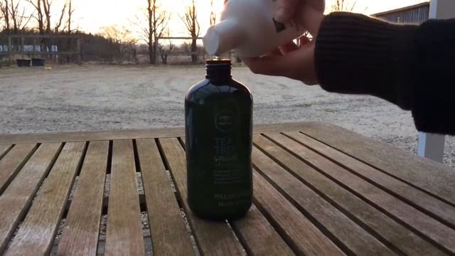 DIY: Horse Shampoo