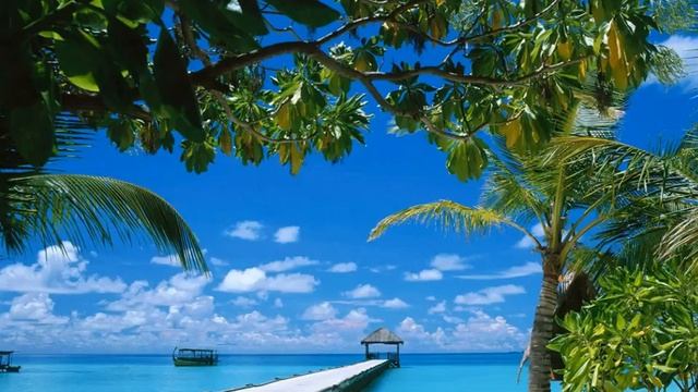 Что представляет из себя жанр музыки: Регги (Часть 3) смотреть онлайн