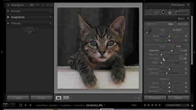 lightroom 2 adobe photoshop introduccion por videotutoriales.es смотреть онлайн