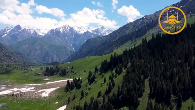 ЭРМЕК УСТАЗДЫН ДЕМ САЛУУСУ! КӨЗ ТИЙҮҮГӨ, КӨРӨ АЛБАСТЫККА КАРШЫ АЯТТАР ЖАНА СҮННӨТ ДУАЛАР смотреть онлайн