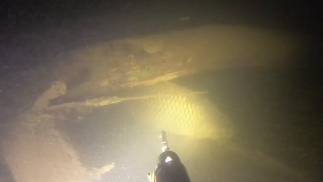 Подводная охота на сазана. смотреть онлайн