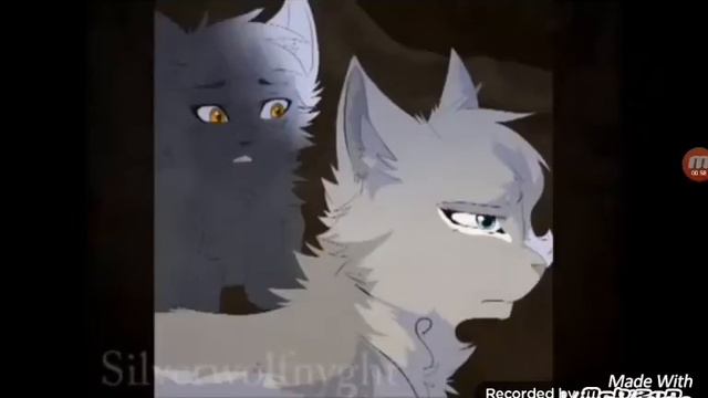 Коты Воители;Грач и Ласточка (Все решено)В честь 100 подписчиков!!! смотреть онлайн