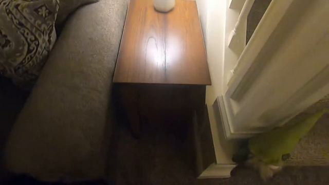 Sauder Carson Forge Side Table Review