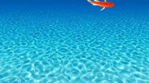 ?Лучшая игра для кошек, котов ! На экране  плавают резвые РЫБКИ для вашей кошки!