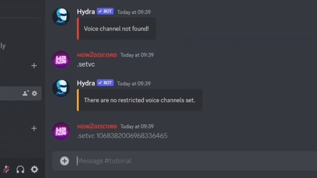 How To SETUP Music Bot On Discord | Hydra Bot 2023 SETUP Guide | Setup DJ Role