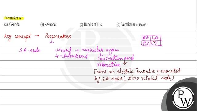 Pacemaker is :
(a) AV-node
(b) SA-node
(c) Bundle of His
(d) Ventri... смотреть онлайн