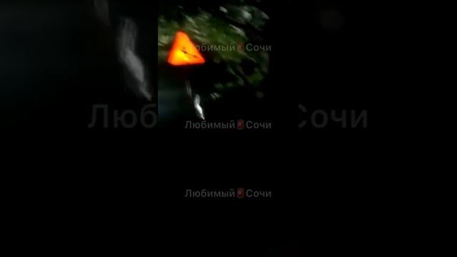 Упавшая в обрыв на месте ремонта дороги в Сочи женщина выиграла суд против администрации курорта смотреть онлайн