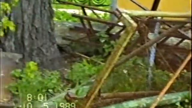 Незабываемая история храма Покрова. 1989 г. Село Воскресенское. смотреть онлайн
