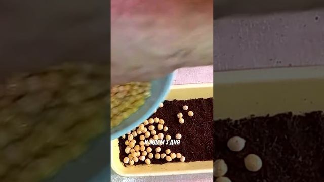 Бизнес с помощью бутылки