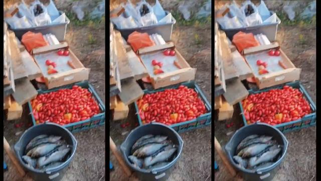 Карелия, Тикшеозеро, июль-август 2020 смотреть онлайн