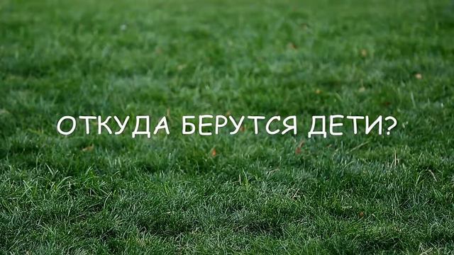 Откуда берутся дети? смотреть онлайн