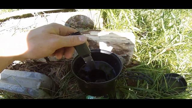 Съедобная Аурикулярия уховидная смотреть онлайн