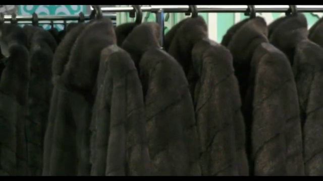 Экибастуз Новости Ярмарка меховых изделий от Эталон меха смотреть онлайн