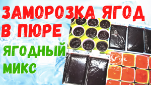 Заморозка ягод. Ягодный микс и клубника в пюре. #заготовки на зиму