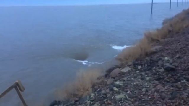 Началось. Смывает ЖД пути Казахстан Курчатов - Аксу смотреть онлайн