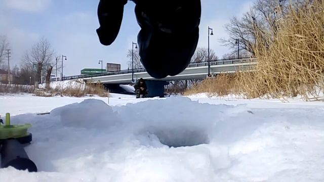 Ловля плотвы на гирлянду из чертиков смотреть онлайн