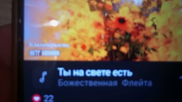 Всем волшебного вечера,Любимые? смотреть онлайн