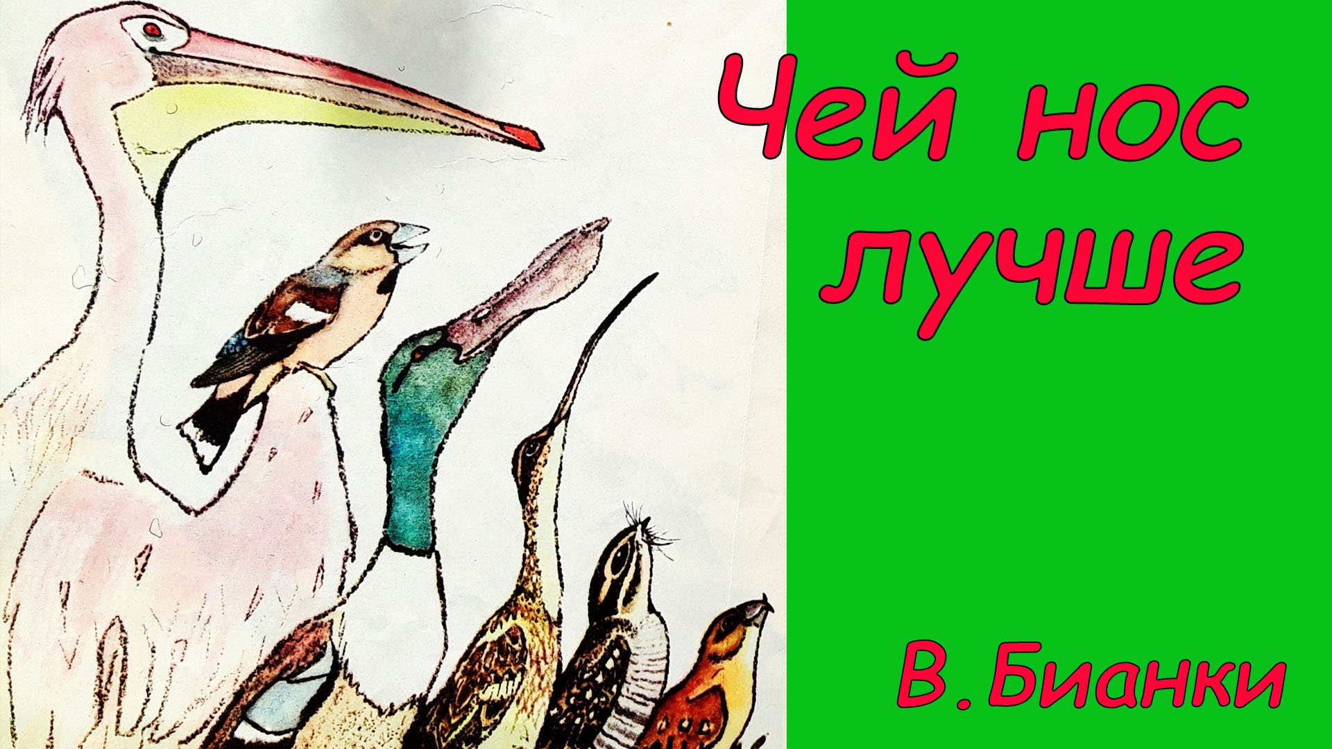 Чей нос лучше? Аудиосказка с картинками. Сказки детям. В. Бианки смотреть онлайн