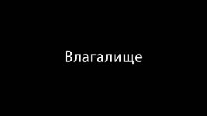Влагалище (10-ти часовая версия)