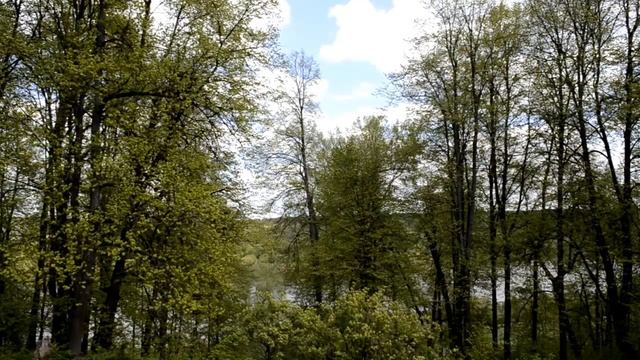 Крутояръ - Таруса смотреть онлайн