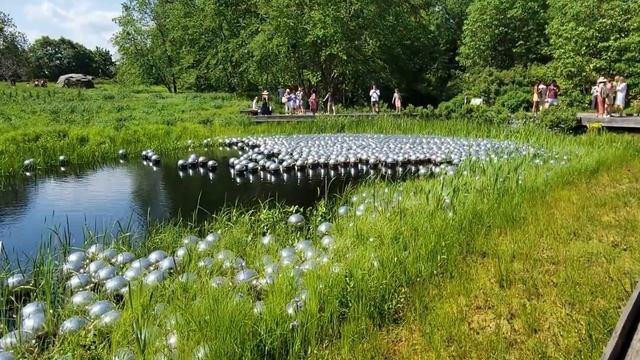 New York Botanical Garden смотреть онлайн