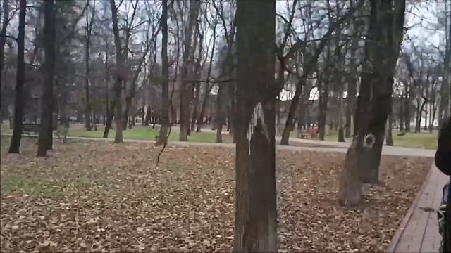 КАК ПОХУДЕТЬ? Хитрые способы сбросить вес смотреть онлайн