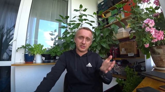 Плюсы и минусы долгой работы на одном месте или как часто нужно менять работодателя. Мой опыт. смотреть онлайн