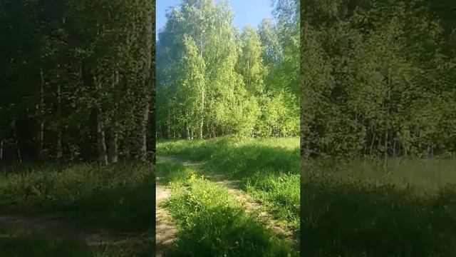 Глазная гимнастика с проработко€ будущего смотреть онлайн