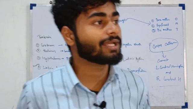 NEURAL CONTROL & COORDINATION|CNS|BRAIN|AMIT GUPTA #class11 #biology#neural #basic #humanbrain смотреть онлайн