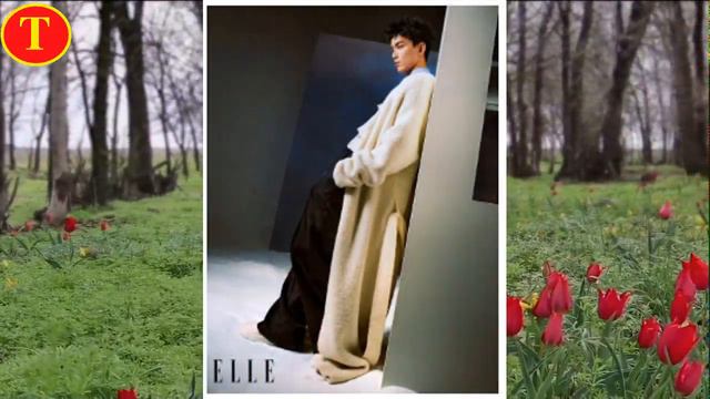 吴磊赵今麦，暴雪时分的双向奔赴 смотреть онлайн