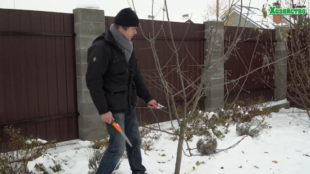 Обрезка запущенной яблони! смотреть онлайн