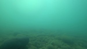 Ольгинка. Самый честный обзор. Море, пляж, жильё, кафе, столовые, цены, прогулка. (Папа Может)