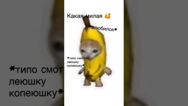 Кот банан влюблён в лейку ? смотреть онлайн