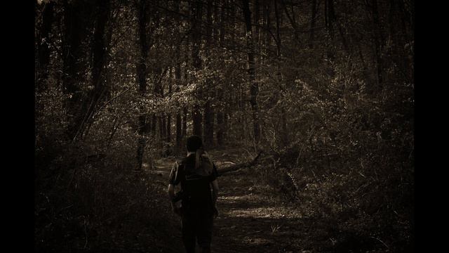 A Walk In The Forest - Прогулка в Лесу