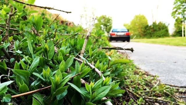 Audi 80 Competition 16v смотреть онлайн