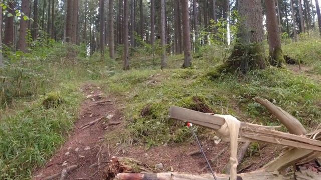 Bogenparcours Gamshorntrail von "Der Waldläufer" in Donaueschingen смотреть онлайн