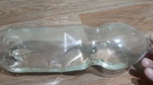 Как избавиться от мышей в квартире