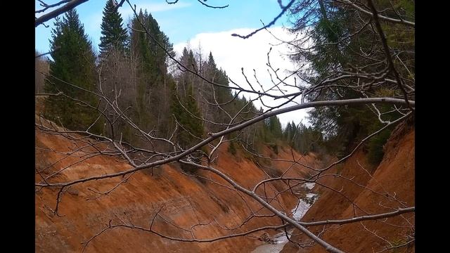 М Цветаева Как правая и левая рука #стихиолюбви #поэтыCеребряноговека смотреть онлайн
