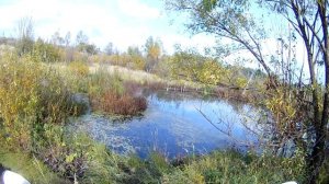 МОТОЦИКЛ ALPHA OFFROAD M-12. Покатушка по осени 2.