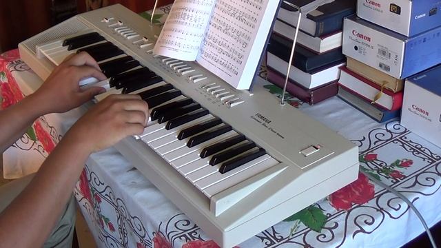 He Own The Cattle On A Thousand Hills - Organist Bujor Florin Lucian playing on the Yamaha PS-20 смотреть онлайн