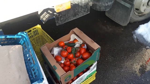 #овощнойбизнес Это конец?♂️бизнес пропал/убытки/овощной бизнес смотреть онлайн