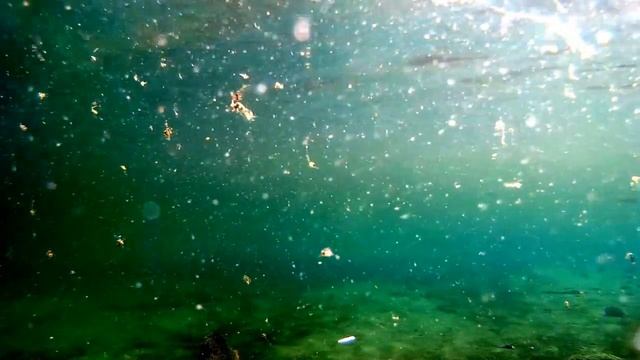 Кумжа на Вороновьем озере смотреть онлайн