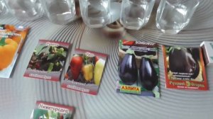 Подготовка семян перца и баклажана к посеву