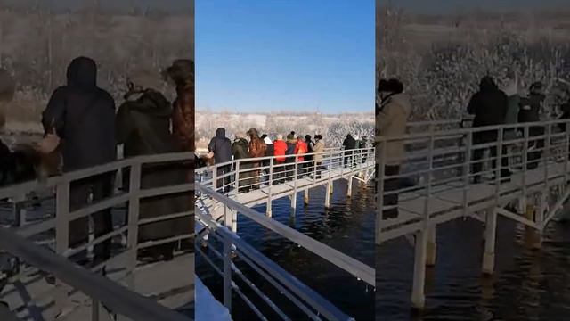 Лебединое озеро в алтайском крае смотреть онлайн