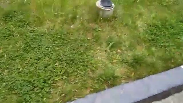 Наш урожай в Подмосковье! Клумбы с бархатцами. смотреть онлайн